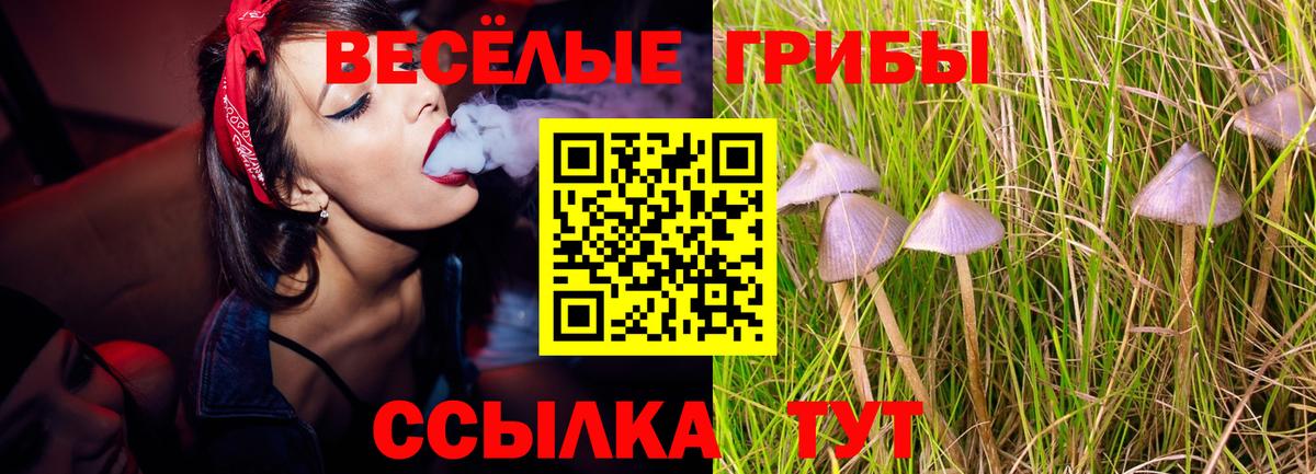 Лысьва  Галлюциногенные грибы GOLDEN TEACHER  Псилоцибиновые грибы Psilocybine cubensis  Вход с VPN 